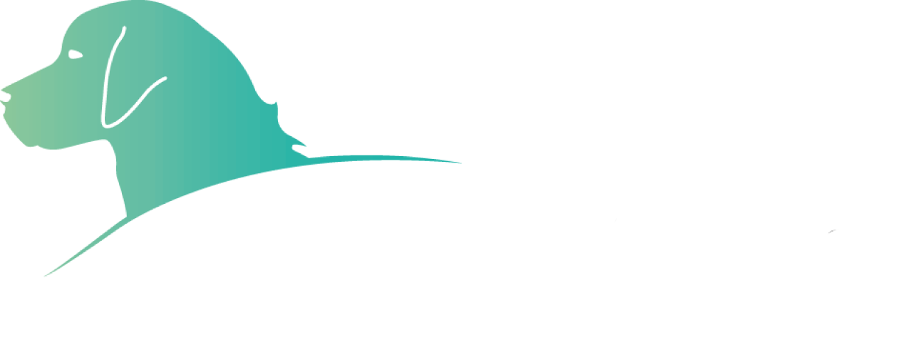 Grandcrystal – Criação e seleção de Golden Retriever